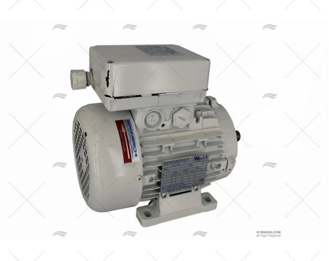 ENGINE FOR ELL 400/2 (01LTR406) GIANNESCHI