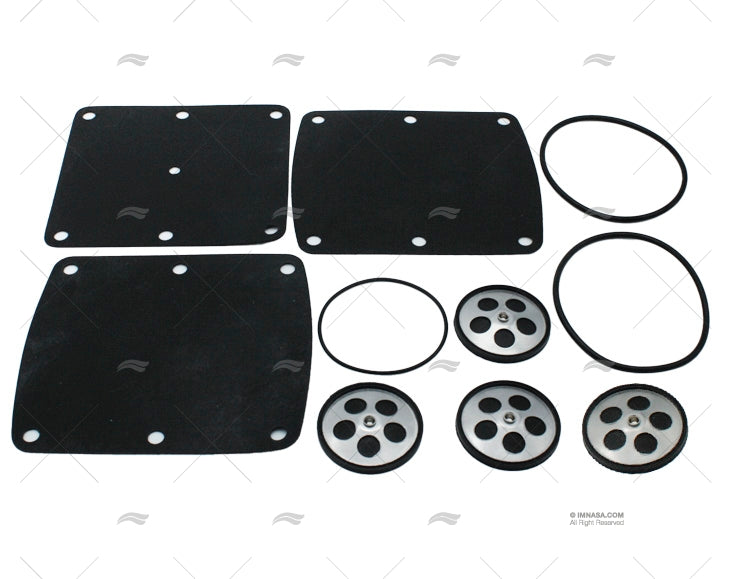 PUMP REPAIR KIT AM30/2 24V FEIT POMPES