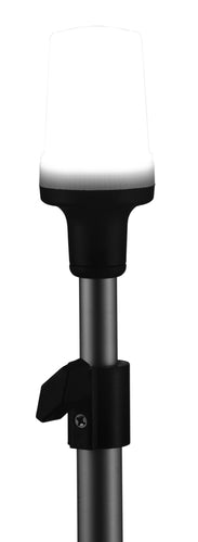 Attwood Asm-lt,pole,tele,48"