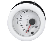 POWER TRIM IMB 12V WHITE