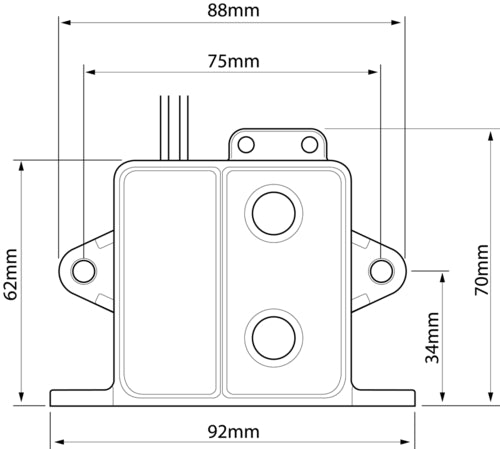 Whale Field Switch Retail